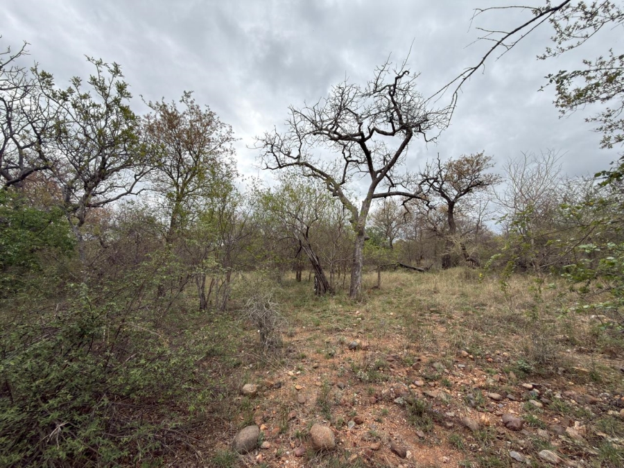 0 Bedroom Property for Sale in Elephant Rock Eco Estate Limpopo