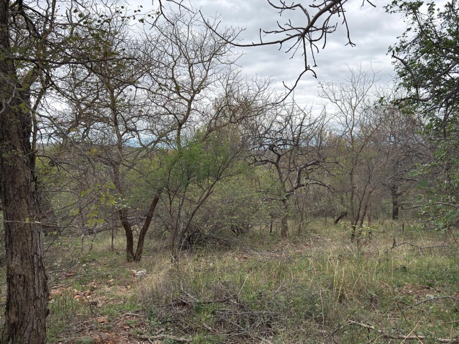 0 Bedroom Property for Sale in Elephant Rock Eco Estate Limpopo