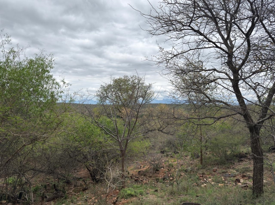 0 Bedroom Property for Sale in Elephant Rock Eco Estate Limpopo