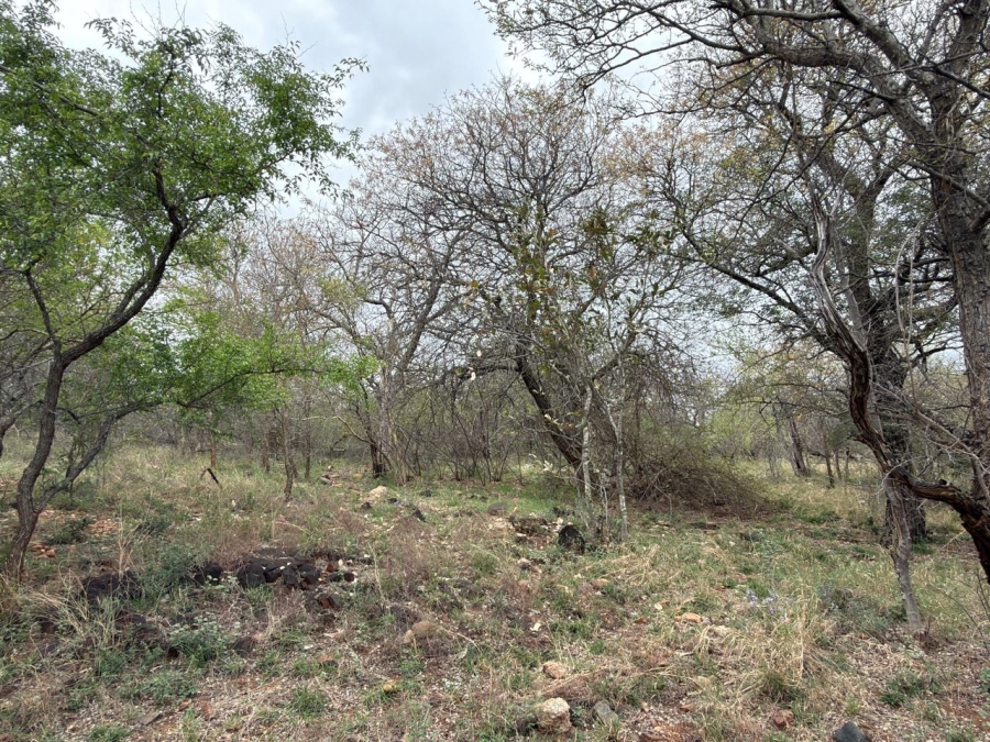 0 Bedroom Property for Sale in Elephant Rock Eco Estate Limpopo