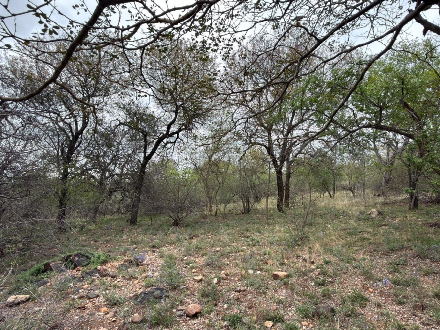 0 Bedroom Property for Sale in Elephant Rock Eco Estate Limpopo