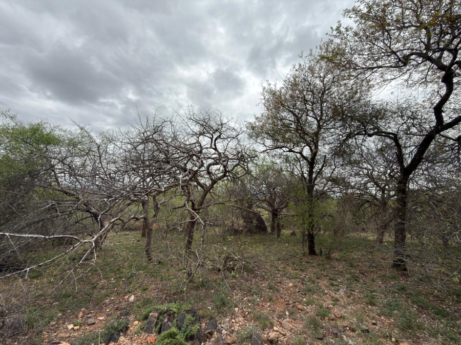 0 Bedroom Property for Sale in Elephant Rock Eco Estate Limpopo