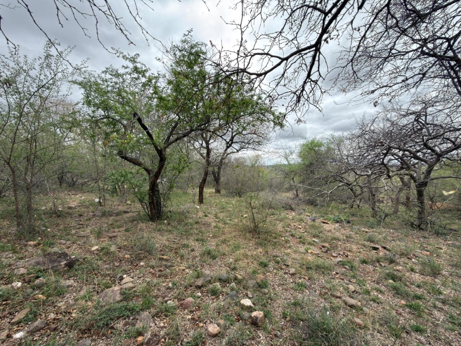 0 Bedroom Property for Sale in Elephant Rock Eco Estate Limpopo