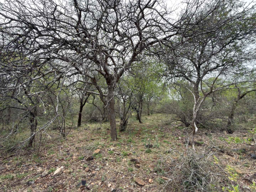 0 Bedroom Property for Sale in Elephant Rock Eco Estate Limpopo