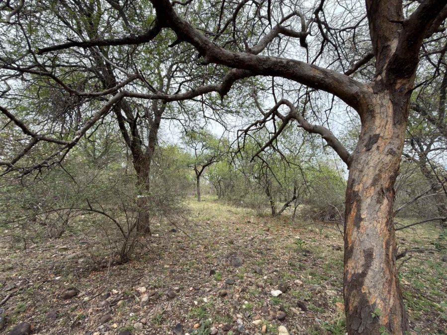 0 Bedroom Property for Sale in Elephant Rock Eco Estate Limpopo
