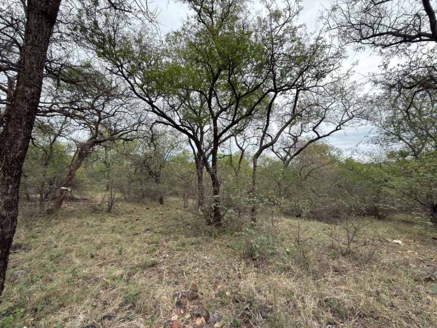 0 Bedroom Property for Sale in Elephant Rock Eco Estate Limpopo
