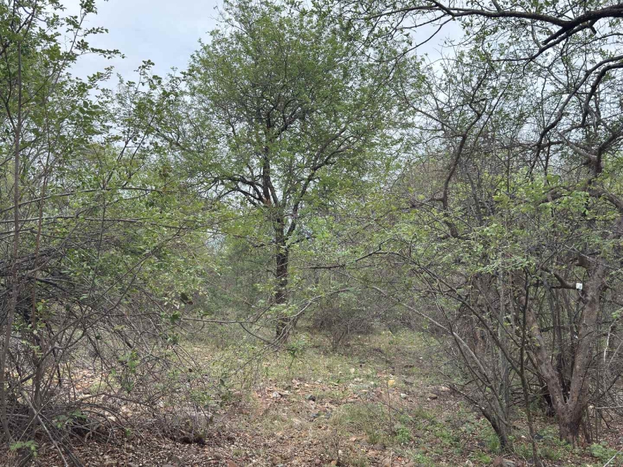 0 Bedroom Property for Sale in Elephant Rock Eco Estate Limpopo
