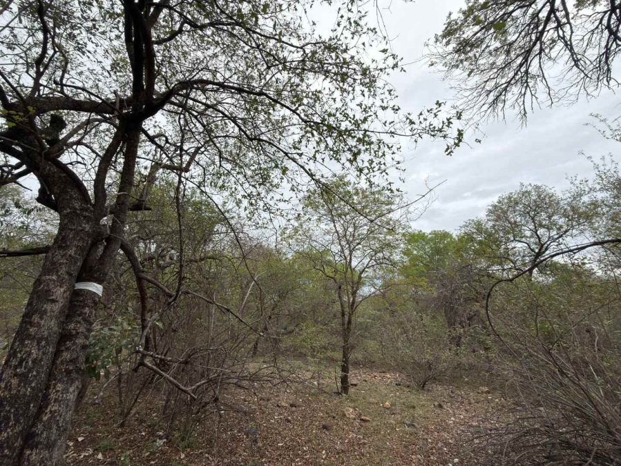 0 Bedroom Property for Sale in Elephant Rock Eco Estate Limpopo