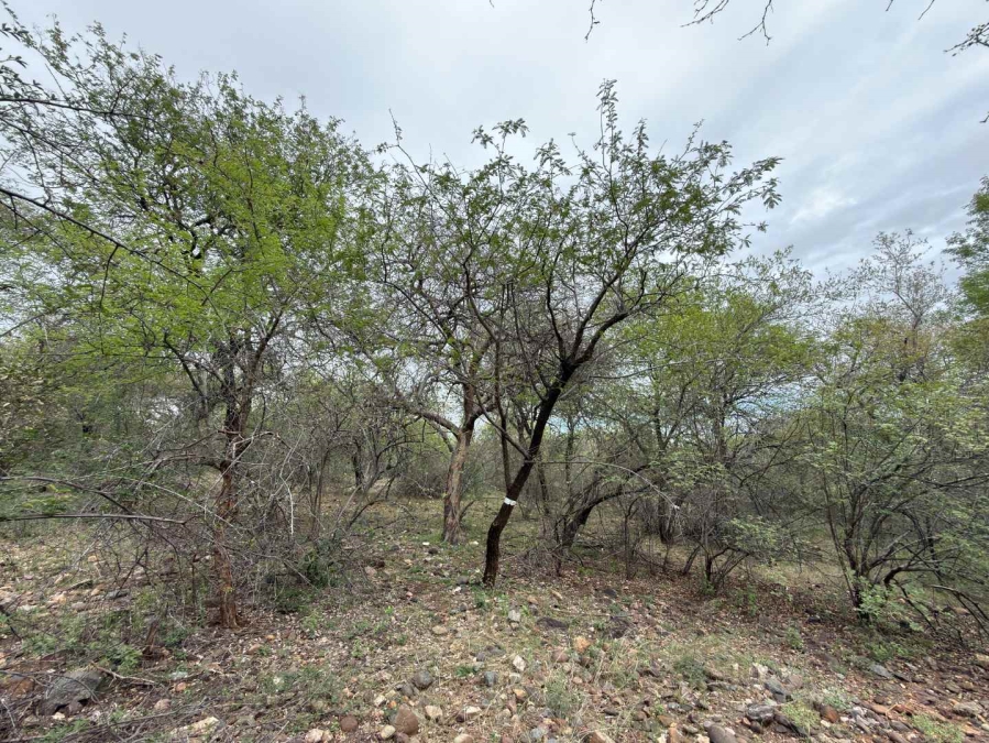 0 Bedroom Property for Sale in Elephant Rock Eco Estate Limpopo
