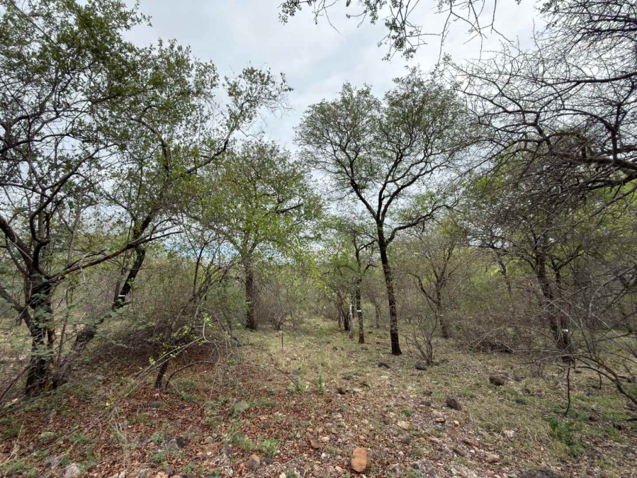 0 Bedroom Property for Sale in Elephant Rock Eco Estate Limpopo