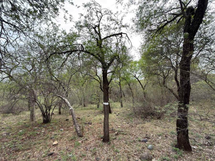 0 Bedroom Property for Sale in Elephant Rock Eco Estate Limpopo