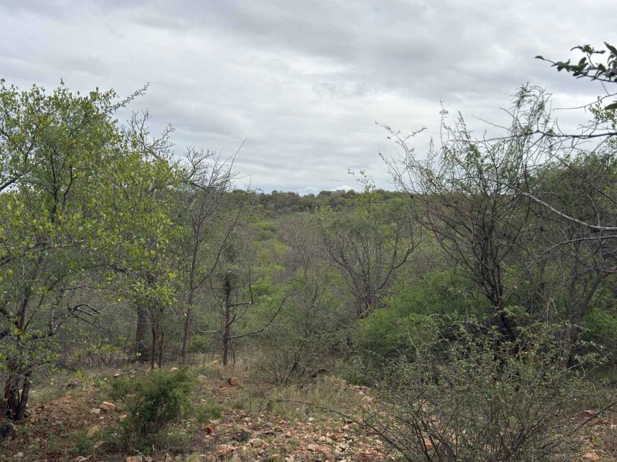 0 Bedroom Property for Sale in Elephant Rock Eco Estate Limpopo