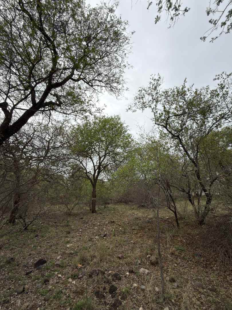 0 Bedroom Property for Sale in Elephant Rock Eco Estate Limpopo