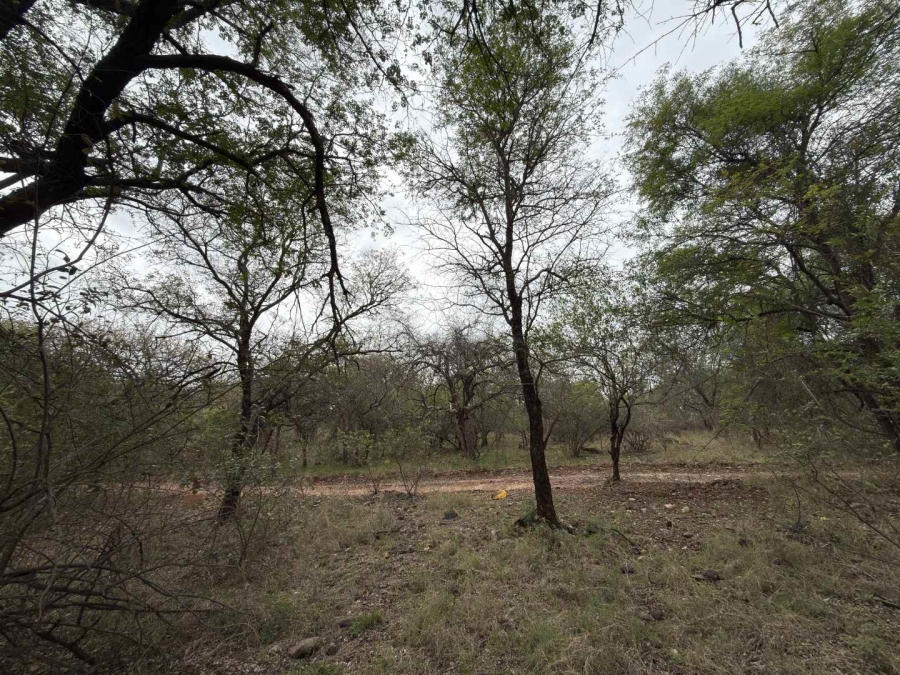 0 Bedroom Property for Sale in Elephant Rock Eco Estate Limpopo