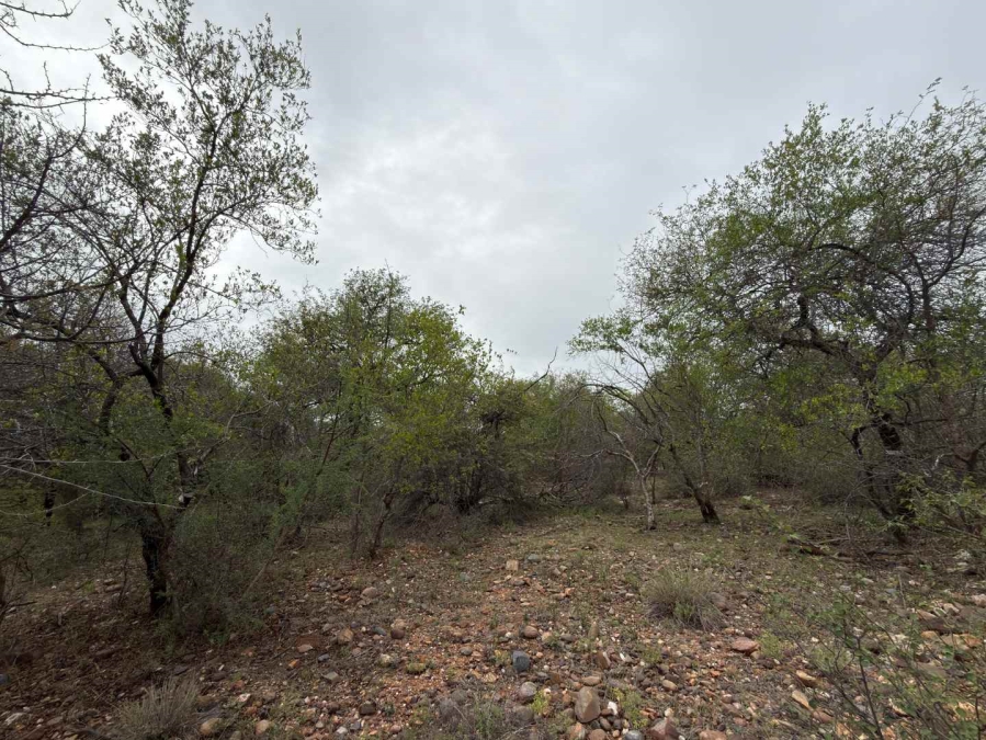 0 Bedroom Property for Sale in Elephant Rock Eco Estate Limpopo