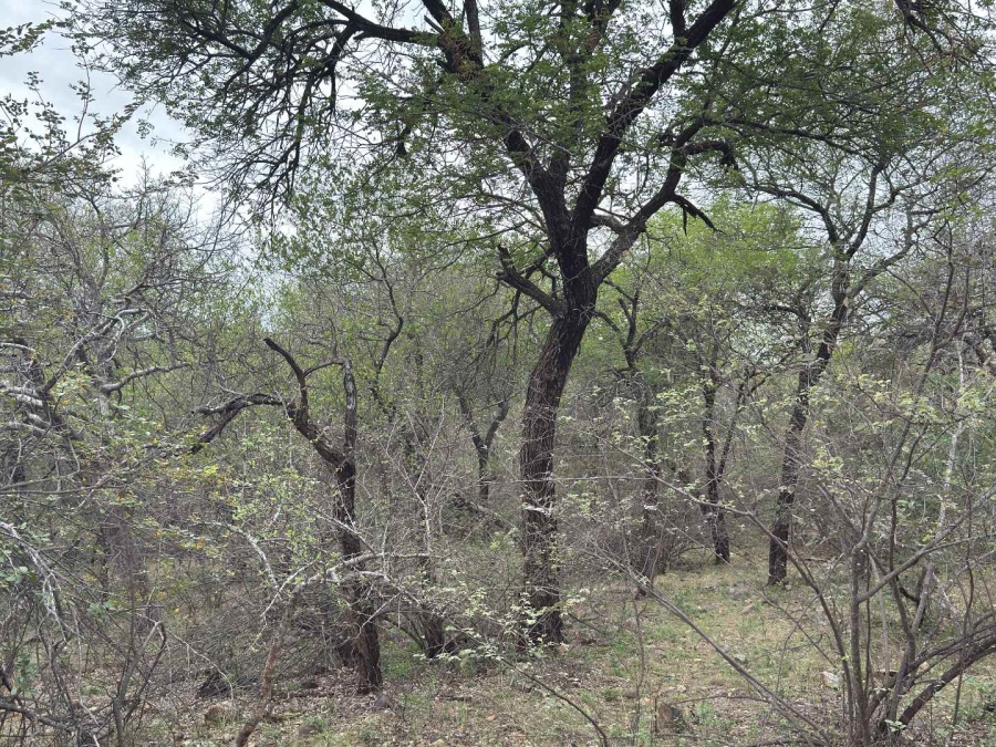 0 Bedroom Property for Sale in Elephant Rock Eco Estate Limpopo