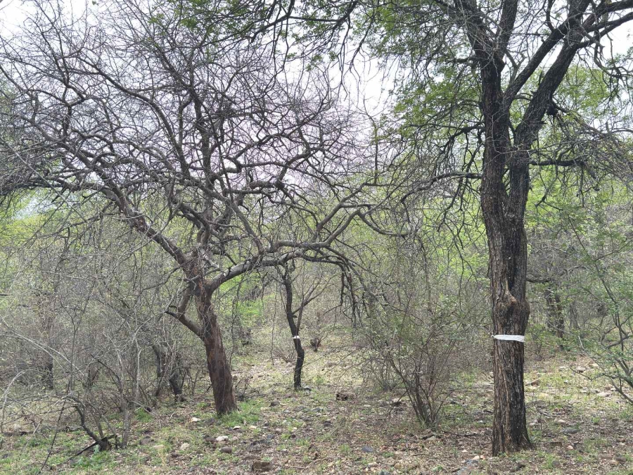 0 Bedroom Property for Sale in Elephant Rock Eco Estate Limpopo