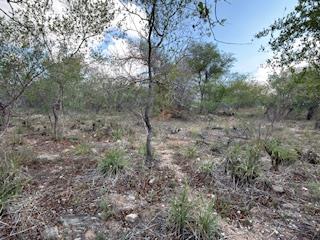 0 Bedroom Property for Sale in Elephant Rock Eco Estate Limpopo