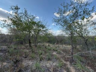 0 Bedroom Property for Sale in Elephant Rock Eco Estate Limpopo
