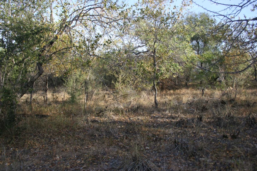 0 Bedroom Property for Sale in Elephant Rock Eco Estate Limpopo