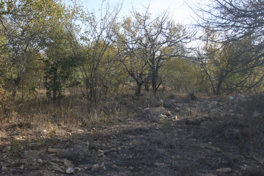 0 Bedroom Property for Sale in Elephant Rock Eco Estate Limpopo