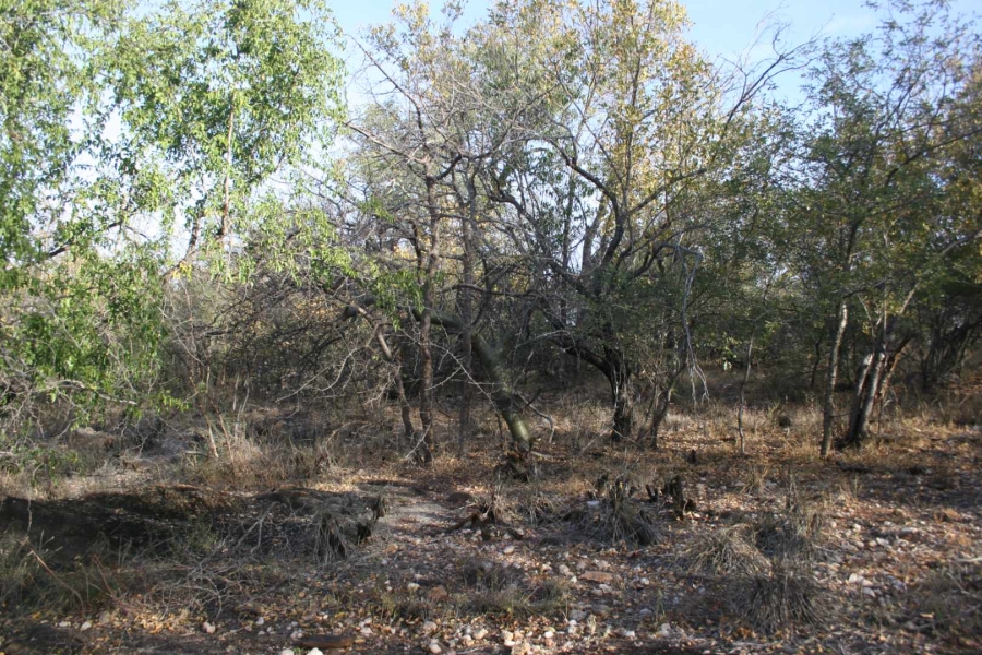 0 Bedroom Property for Sale in Elephant Rock Eco Estate Limpopo
