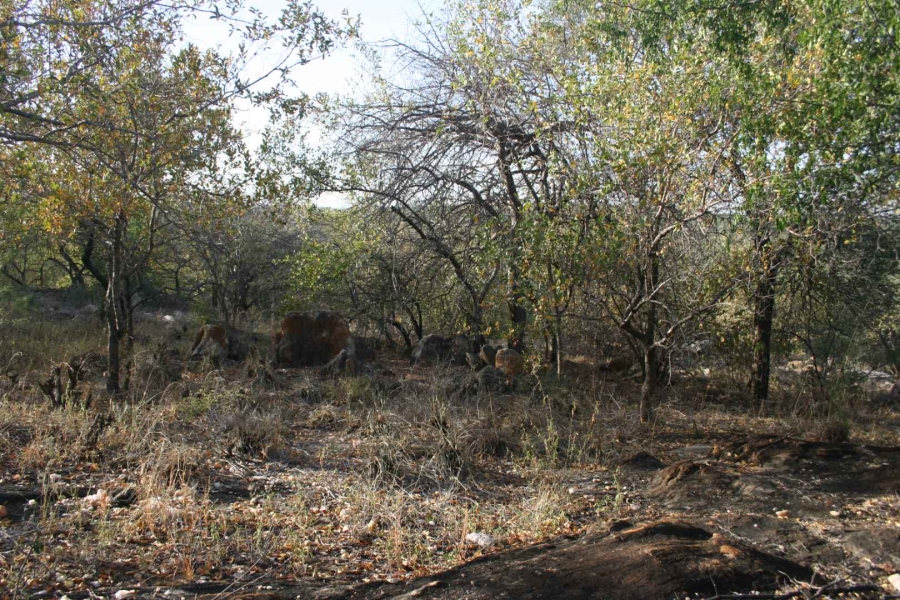 0 Bedroom Property for Sale in Elephant Rock Eco Estate Limpopo