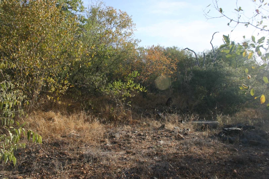 0 Bedroom Property for Sale in Elephant Rock Eco Estate Limpopo