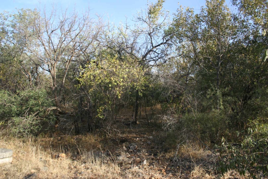 0 Bedroom Property for Sale in Elephant Rock Eco Estate Limpopo