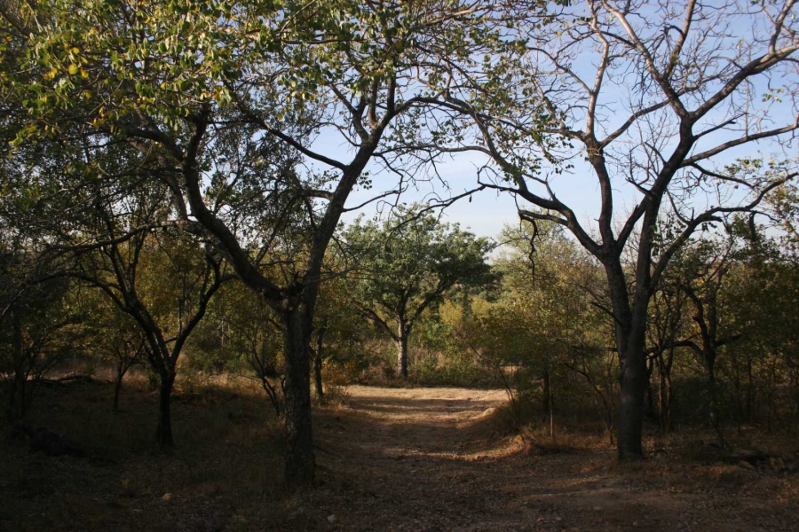 0 Bedroom Property for Sale in Elephant Rock Eco Estate Limpopo