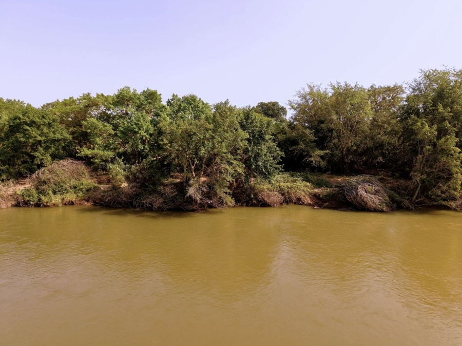 0 Bedroom Property for Sale in Elephant Rock Eco Estate Limpopo