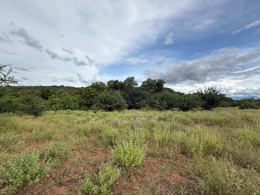 0 Bedroom Property for Sale in Elephant Rock Eco Estate Limpopo