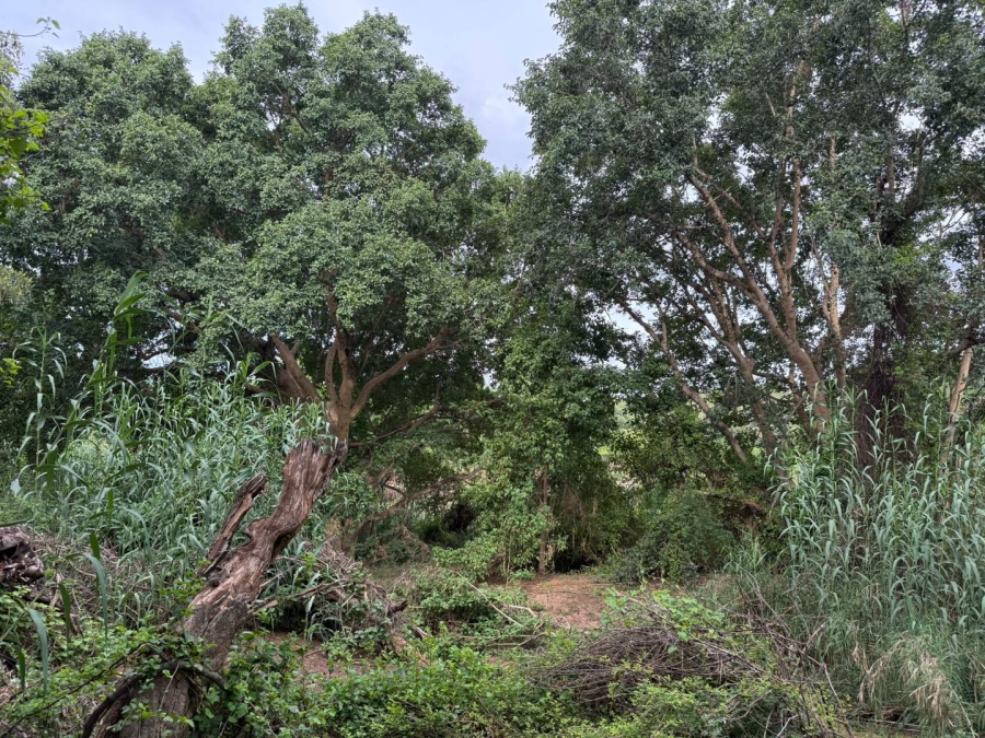 0 Bedroom Property for Sale in Elephant Rock Eco Estate Limpopo