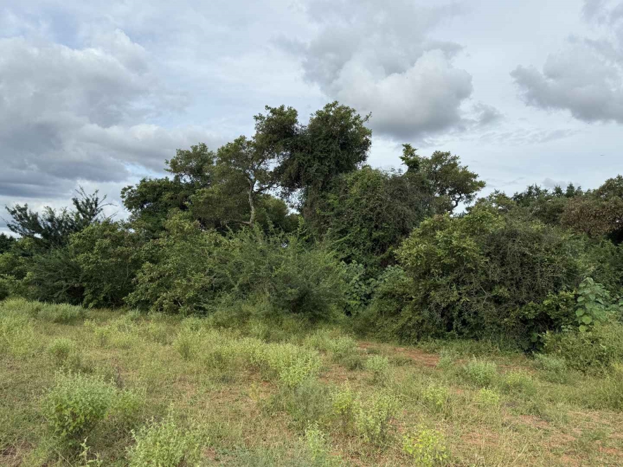 0 Bedroom Property for Sale in Elephant Rock Eco Estate Limpopo