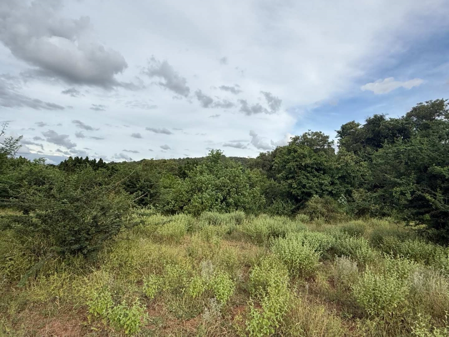 0 Bedroom Property for Sale in Elephant Rock Eco Estate Limpopo