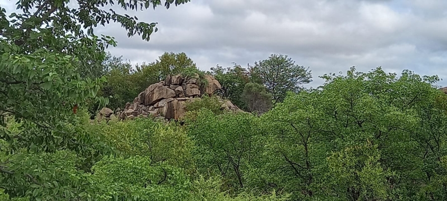 0 Bedroom Property for Sale in Musina Limpopo