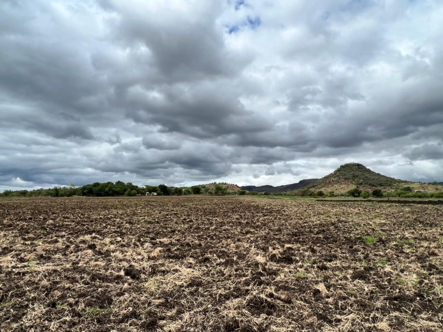 Commercial Property for Sale in Groblersdal Rural Limpopo