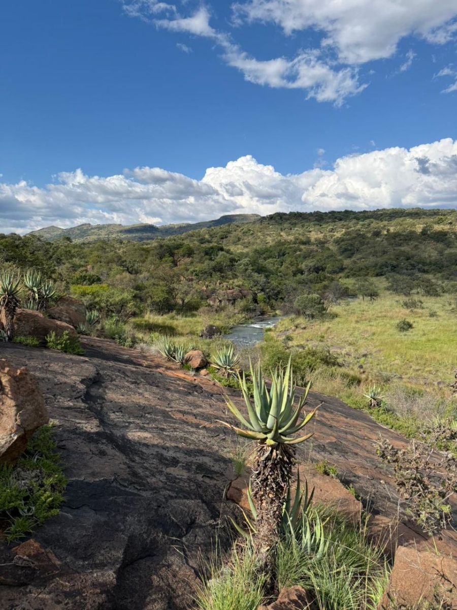 Commercial Property for Sale in Groblersdal Rural Limpopo