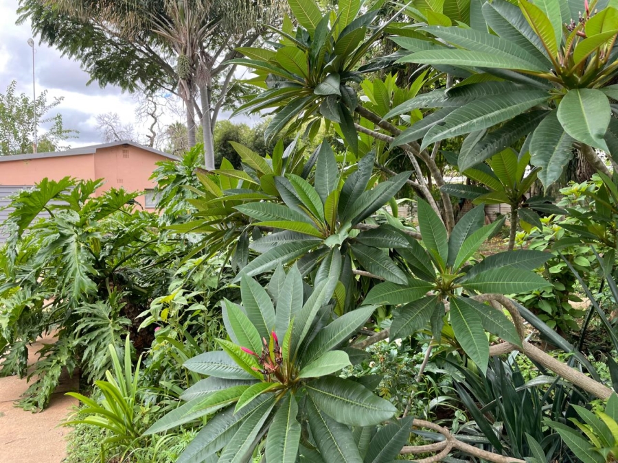 3 Bedroom Property for Sale in Flora Park Limpopo