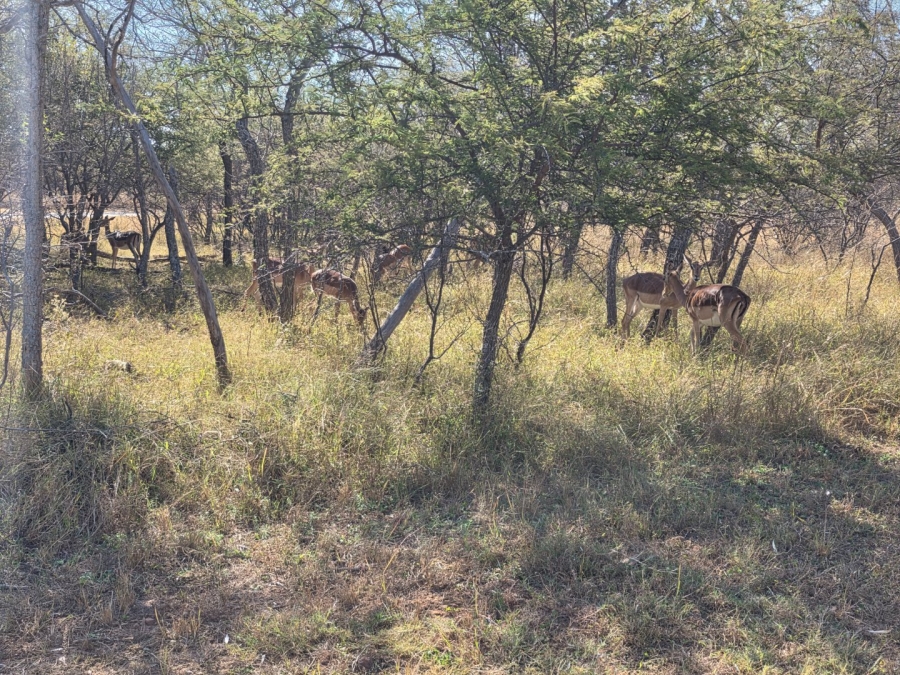 Commercial Property for Sale in Koro Creek Golf Estate Limpopo