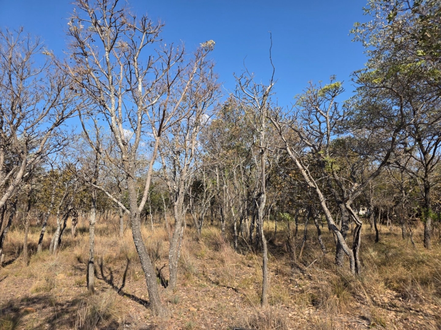 Commercial Property for Sale in Koro Creek Golf Estate Limpopo