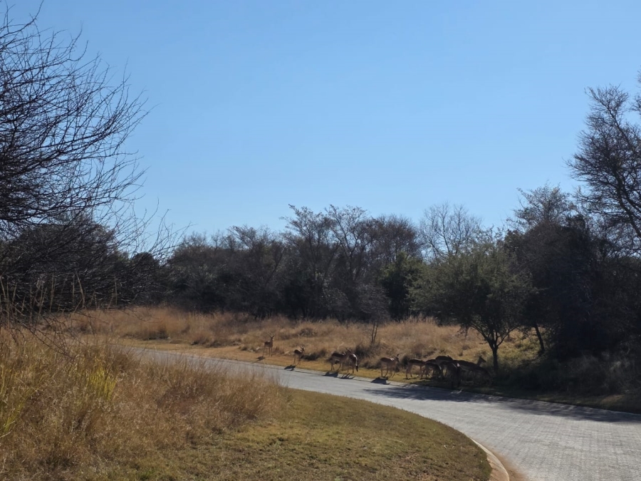 Commercial Property for Sale in Koro Creek Golf Estate Limpopo