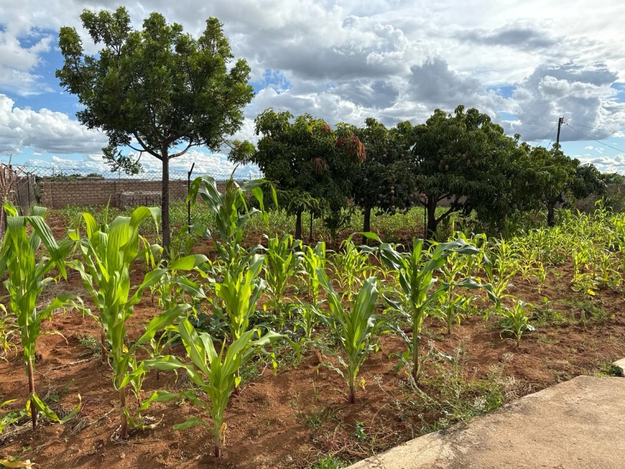 3 Bedroom Property for Sale in Moletji Limpopo