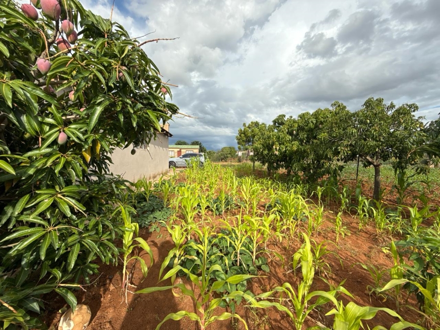 3 Bedroom Property for Sale in Moletji Limpopo