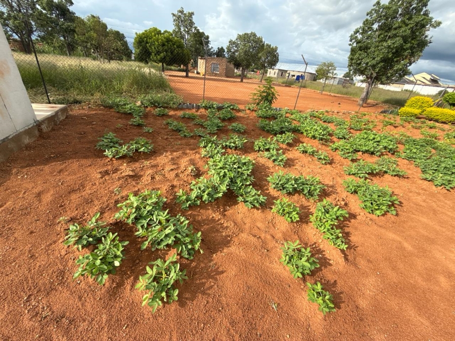 3 Bedroom Property for Sale in Moletji Limpopo