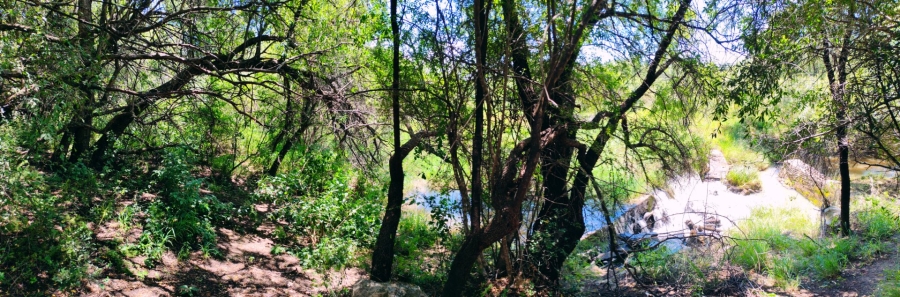 Commercial Property for Sale in Bela Bela Limpopo