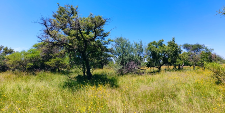 Commercial Property for Sale in Bela Bela Limpopo