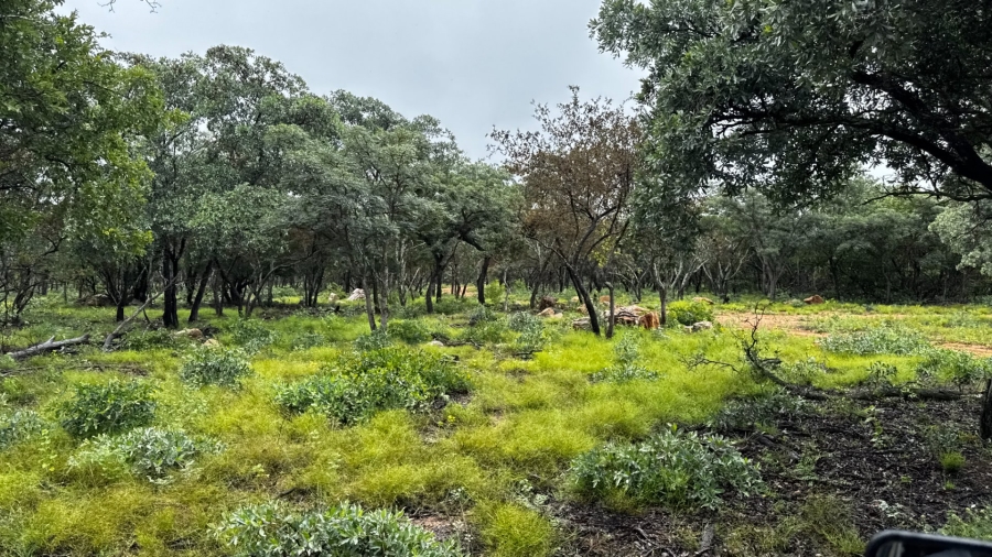 Commercial Property for Sale in Lephalale Limpopo