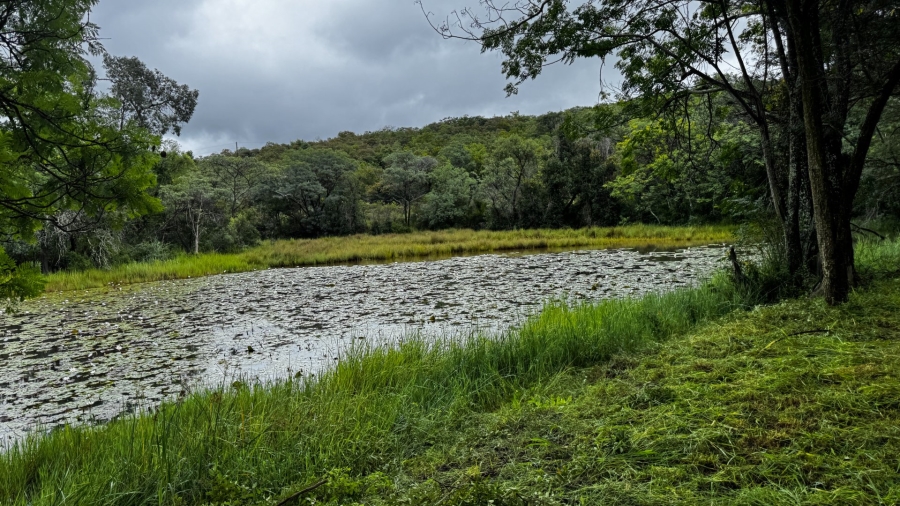 Commercial Property for Sale in Lephalale Limpopo