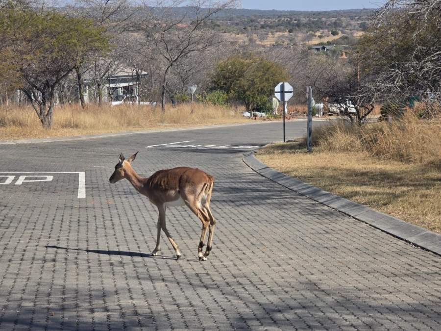 Commercial Property for Sale in Koro Creek Golf Estate Limpopo